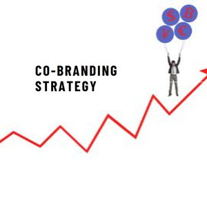 Co-branding Strategy