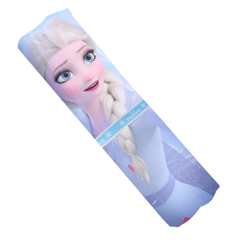 Disney Frozen Quick Dry Sports Towel DE21543-Q