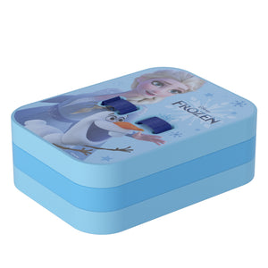 Disney Frozen Back Board With Strap DEI21549-Q