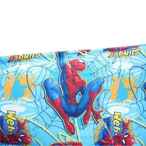 DISNEY SPIDERMAN HAMMOCK VFH20293-S