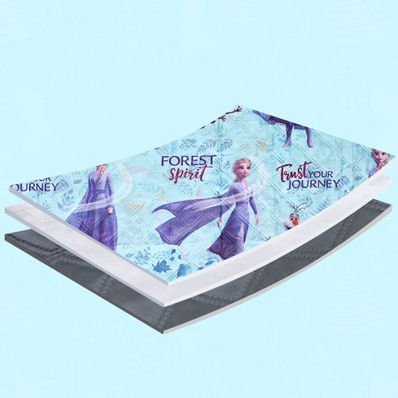 Disney Frozen Pacnic Mat DFD20281-Q