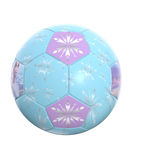 Load image into Gallery viewer, Disney Frozen #2 PVC Machine Stitched Soccer Ball DAB21274-Q
