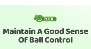 DISNEY REX PU MOISTURE ABSORBING BASKETBALL 7#