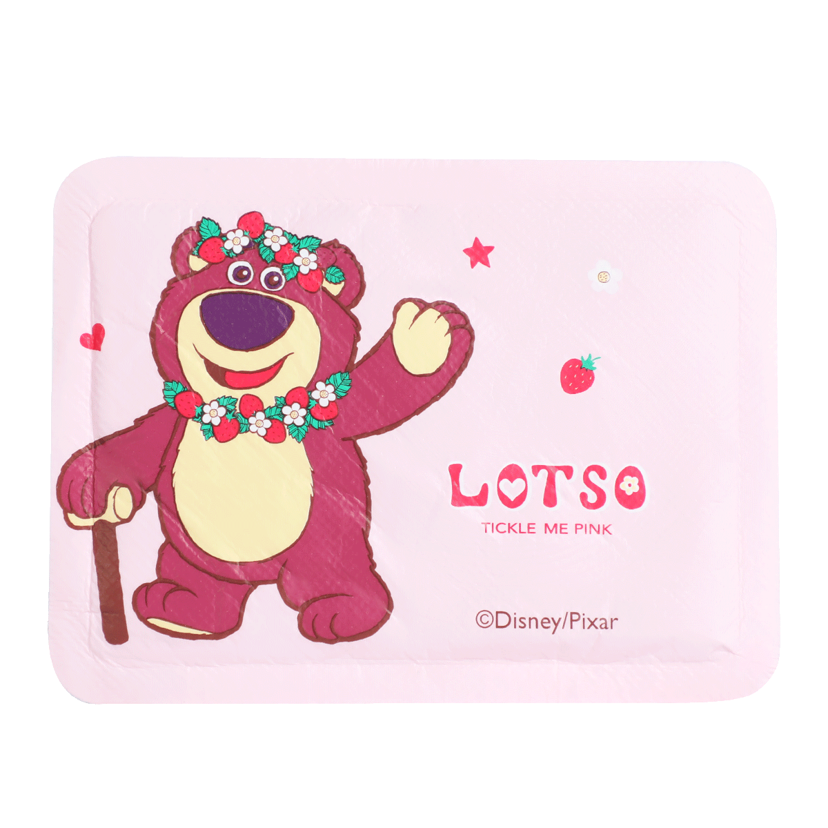 Disney Lotso/Mickey/Minne 10pcs Warm Sticker 21901/21500